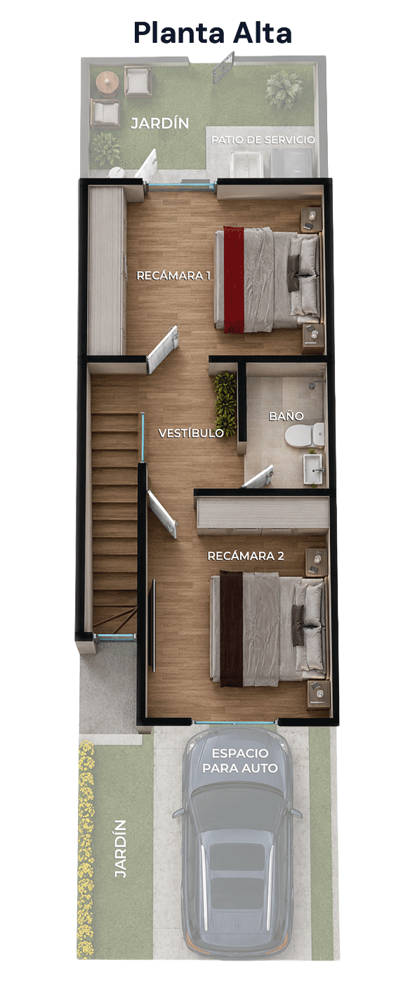 planta-alta-1